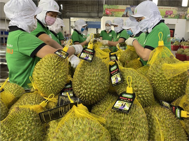 Nhiều triển vọng xuất khẩu nông sản Việt Nam sang thị trường Australia
