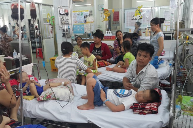Cảnh báo nguy cơ bùng dịch sốt xuất huyết ở TP. Hồ Chí Minh và các tỉnh phía Nam