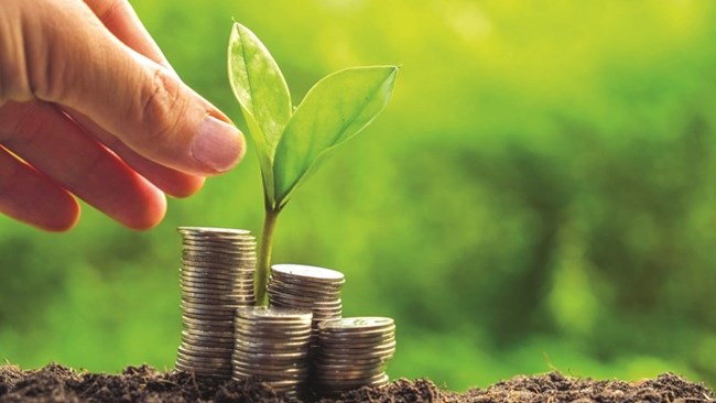 Cần cơ chế, chính sách ưu đãi thu hút đầu tư tư nhân cho tăng trưởng xanh