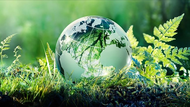 Lựa chọn vốn FDI “xanh” - động lực cho tăng trưởng bền vững