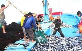 Ngăn chặn, loại bỏ tàu cá vi phạm IUU vì một nghề cá bền vững và có trách nhiệm