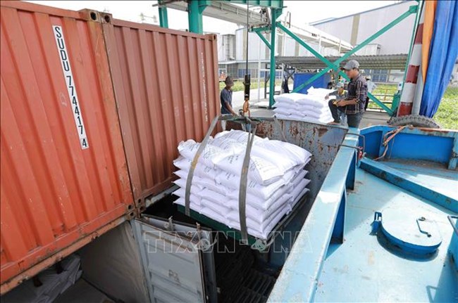 7 doanh nghiệp Việt trúng thầu 300 nghìn tấn gạo xuất sang Indonesia