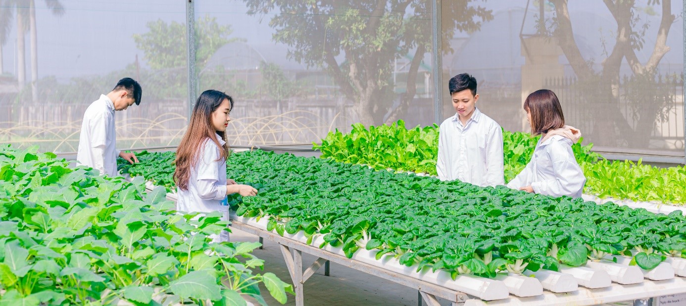 Chương trình học tiên tiến ngành nông, lâm nghiệp tại Việt Nam