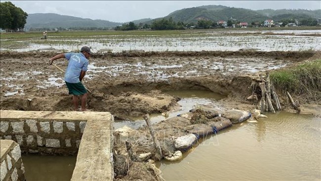 Thủy điện ngăn dòng khiến hàng trăm hộ dân ở Cao Bằng khát nước sản xuất lúa vụ đông xuân