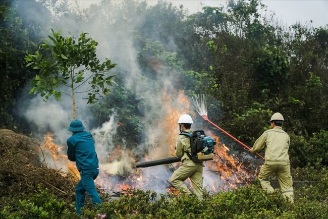 Thủ tướng Phạm Minh Chính chỉ đạo tăng cường các biện pháp cấp bách phòng chống cháy rừng