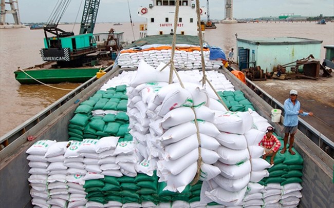 Giá gạo xuất khẩu của Việt Nam đã tăng lên mức cao nhất từ đầu năm tới nay