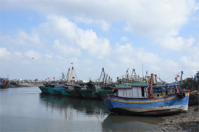 Đánh bắt thua lỗ, hàng loạt chủ tàu đánh bắt xa bờ ở Bà Rịa – Vũng Tàu rao bán tàu