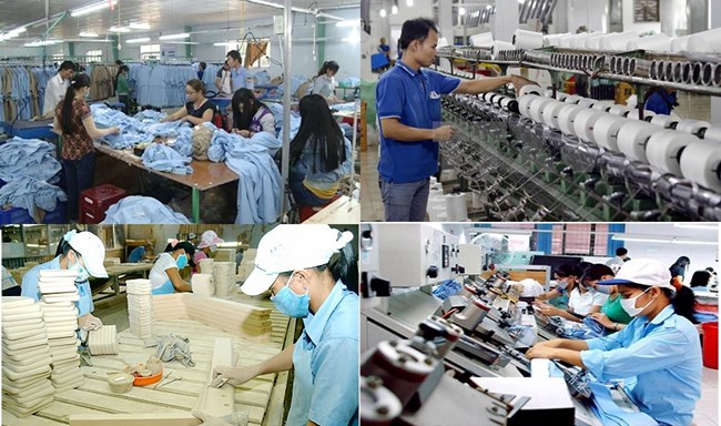 Kinh tế tư nhân Việt Nam - Động lực quan trọng cho tăng trưởng kinh tế