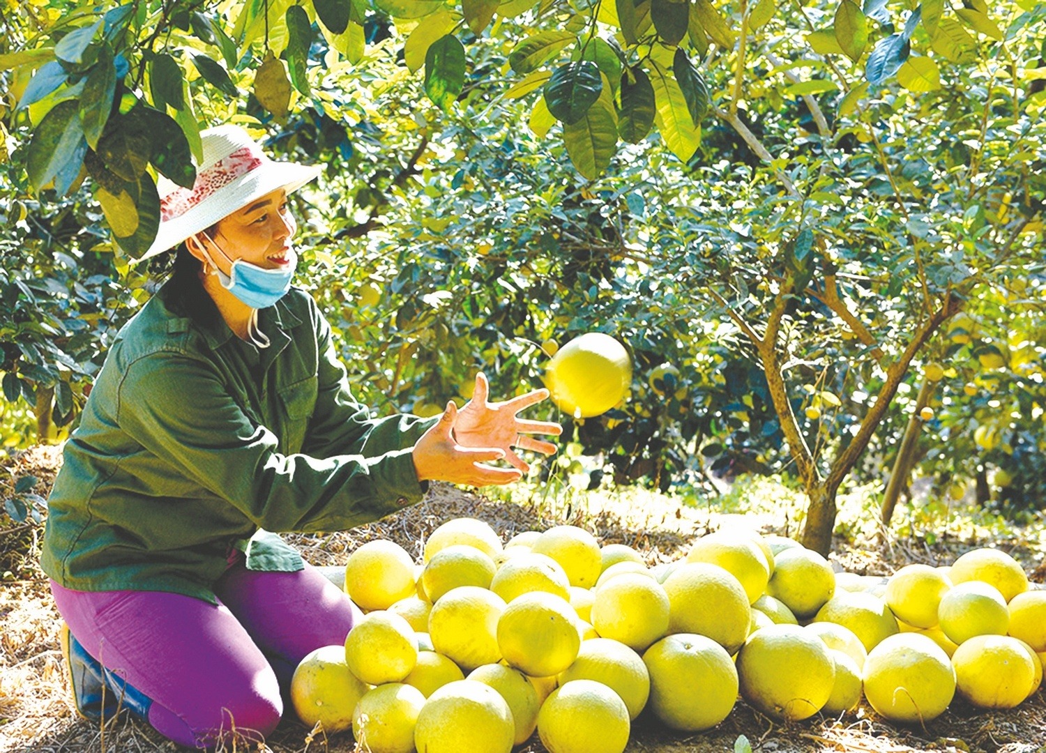 “Nông sản Việt chinh phục thị trường quốc tế”