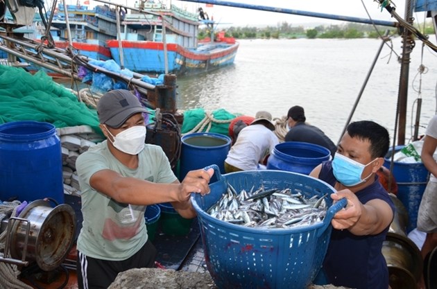  Các địa phương khẩn trương thực hiện các biện pháp mạnh chống khai thác hải sản bất hợp pháp, không báo cáo và không theo quy định
