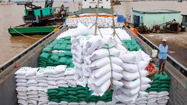 Việt Nam chủ trương tăng cường xuất khẩu gạo trong bối cảnh một số nước đã ban hành lệnh cấm xuất khẩu mặt hàng này